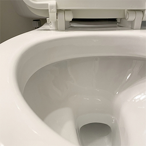 RestoraBowl Toilet Cleaner image